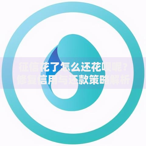 征信花了怎么还花呗呢？修复信用与还款策略解析