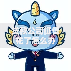 贷款公司征信花了怎么办？修复与解决方案全解析