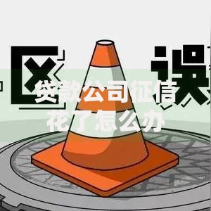 贷款公司征信花了怎么办？修复与解决方案全解析