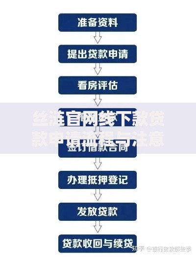 丝涟官网线下款贷款申请流程与注意事项解析