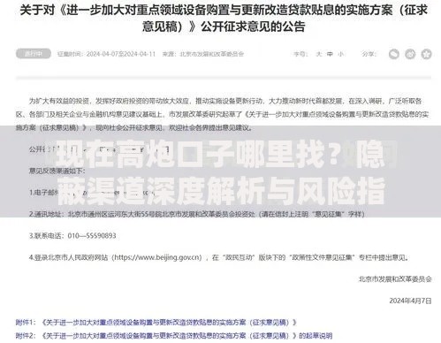 现在高炮口子哪里找？隐蔽渠道深度解析与风险指南