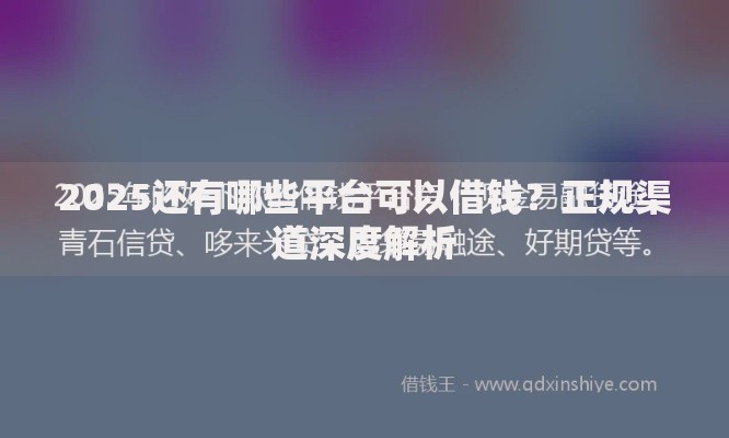 2025还有哪些平台可以借钱？正规渠道深度解析