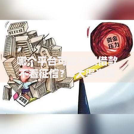 哪个平台可以小额借款不看征信？5大渠道深度解析