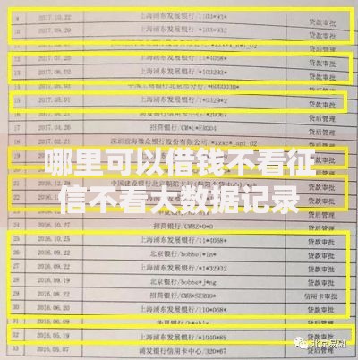 哪里可以借钱不看征信不看大数据记录？真实渠道解析
