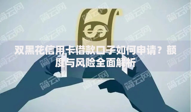 双黑花信用卡借款口子如何申请？额度与风险全面解析