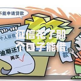 征信花了那个口子能借款？正规渠道深度解析