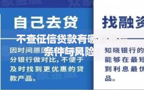 不查征信贷款有哪些申请条件与风险？