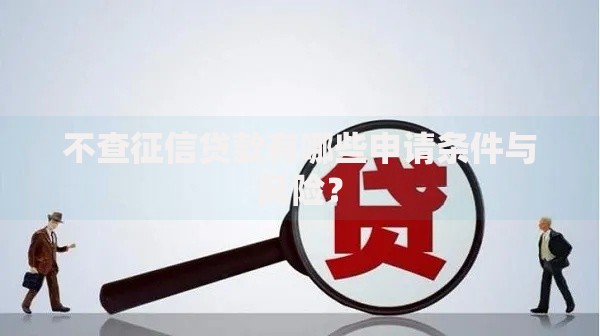 不查征信贷款有哪些申请条件与风险？