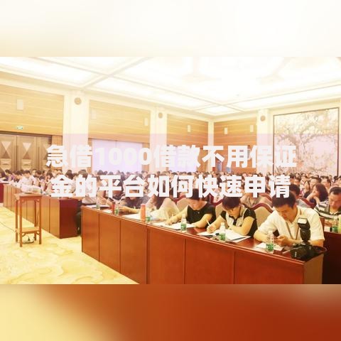 急借1000借款不用保证金的平台如何快速申请