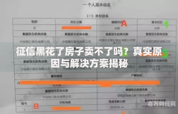 征信黑花了房子卖不了吗？真实原因与解决方案揭秘