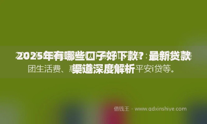 2025年有哪些口子好下款？最新贷款渠道深度解析