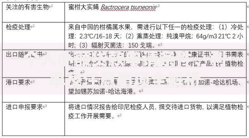 个人小额贷款申请条件、利率及注意事项全解析