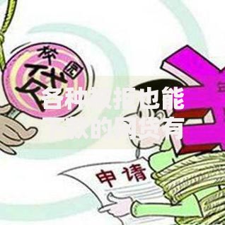 各种被拒也能下款的网贷有哪些？深度解析低门槛贷款渠道