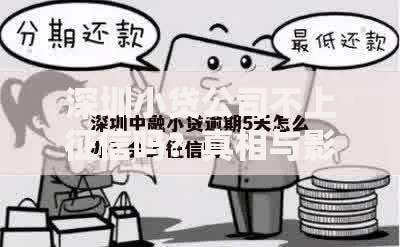深圳小贷公司不上征信吗？真相与影响解析
