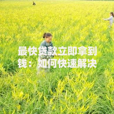 最快贷款立即拿到钱：如何快速解决资金需求？
