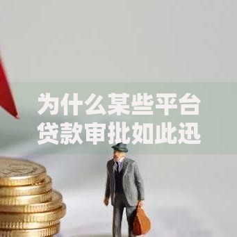 为什么某些平台贷款审批如此迅速？技术驱动与流程革新解析
