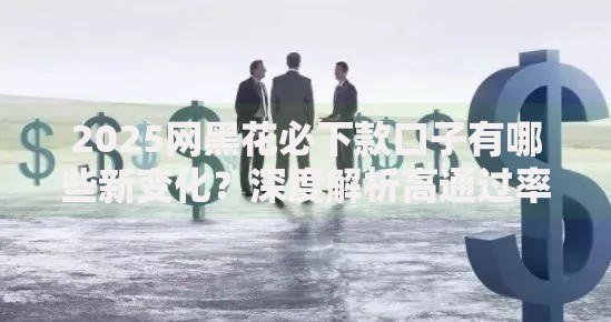 2025网黑花必下款口子有哪些新变化？深度解析高通过率渠道