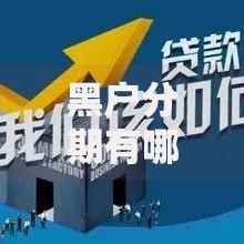 黑户分期有哪些口子？审核条件及注意事项解析