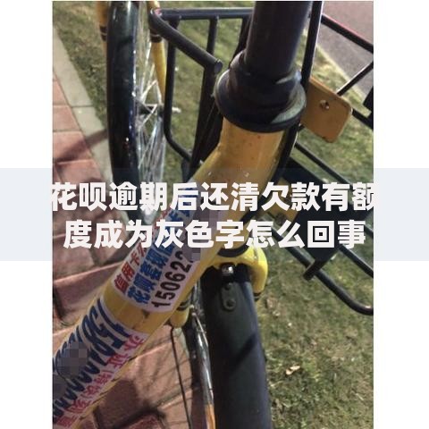 花呗逾期后还清欠款有额度成为灰色字怎么回事