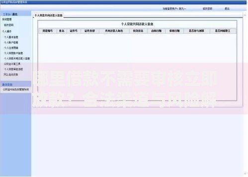 哪里借款不需要审核立即放款?合法渠道与风险解析 哪里借款不需要审核立即放款?合法渠道与风险解析