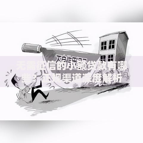 无需征信的小额贷款有哪些？正规渠道深度解析