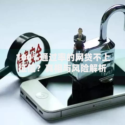 100%通过率的网贷不上征信？真相与风险解析