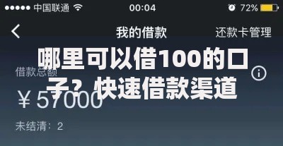哪里可以借100的口子？快速借款渠道与申请攻略