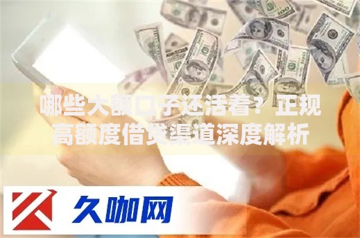 哪些大额口子还活着？正规高额度借贷渠道深度解析