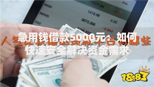 急用钱借款5000元：如何快速安全解决资金需求