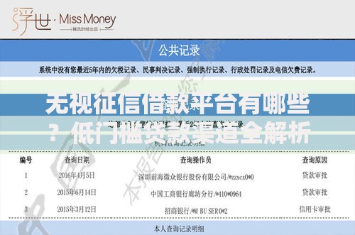 无视征信借款平台有哪些？低门槛贷款渠道全解析