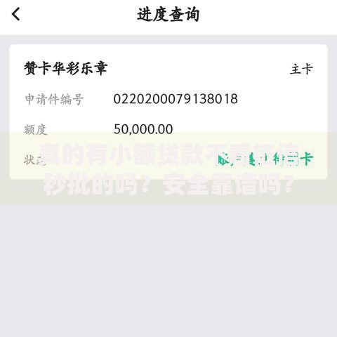 真的有小额贷款不看征信秒批的吗？安全靠谱吗？
