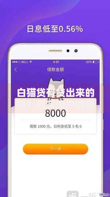 白猫贷有贷出来的吗？真实用户借贷经验深度解析