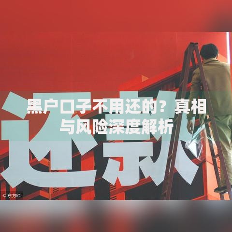黑户口子不用还的？真相与风险深度解析