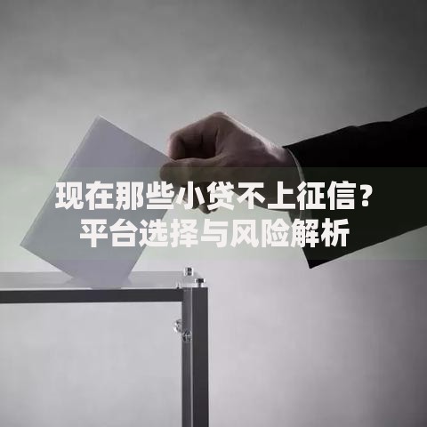 现在那些小贷不上征信？平台选择与风险解析