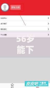 56岁能下款的口子有哪些平台？大龄用户专属方案解析