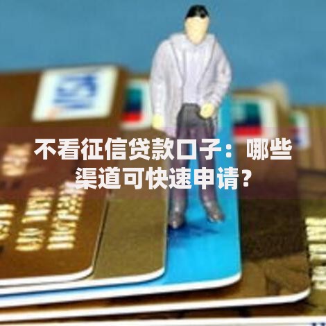 不看征信贷款口子：哪些渠道可快速申请？
