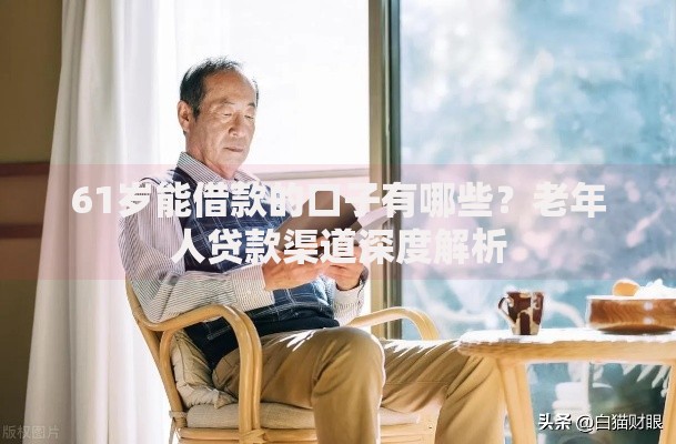 61岁能借款的口子有哪些？老年人贷款渠道深度解析