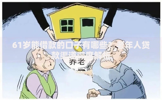 61岁能借款的口子有哪些？老年人贷款渠道深度解析