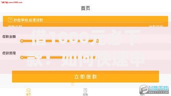 借1000元必下款：如何快速申请到账？低门槛小额贷款攻略