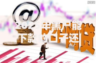 2025年黑户能下款的口子还有吗？深度解析最新现状