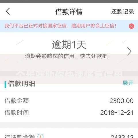 贷款逾期后如何补救？5个步骤助你快速恢复信用
