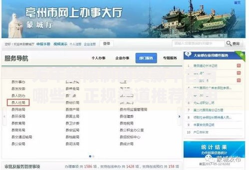 无年龄限制的贷款平台有哪些？正规渠道推荐及申请指南