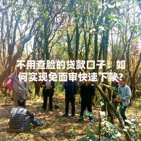 不用查脸的贷款口子：如何实现免面审快速下款？