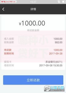 哪种小贷好下款？低门槛快速审批平台推荐