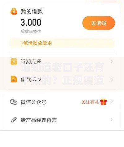 谁知道老口子还有下款的？正规渠道深度解析