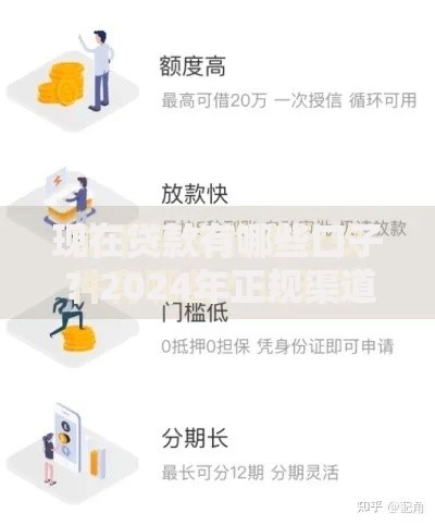 现在贷款有哪些口子？2024年正规渠道深度解析