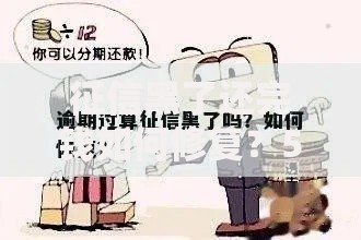 征信黑了还完钱如何修复?5步恢复信用记录攻略 征信黑了还完钱如何修复?5步恢复信用记录攻略
