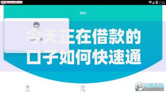 今天正在借款的口子如何快速通过审核