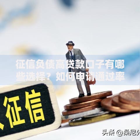 征信负债高贷款口子有哪些选择？如何申请通过率高
