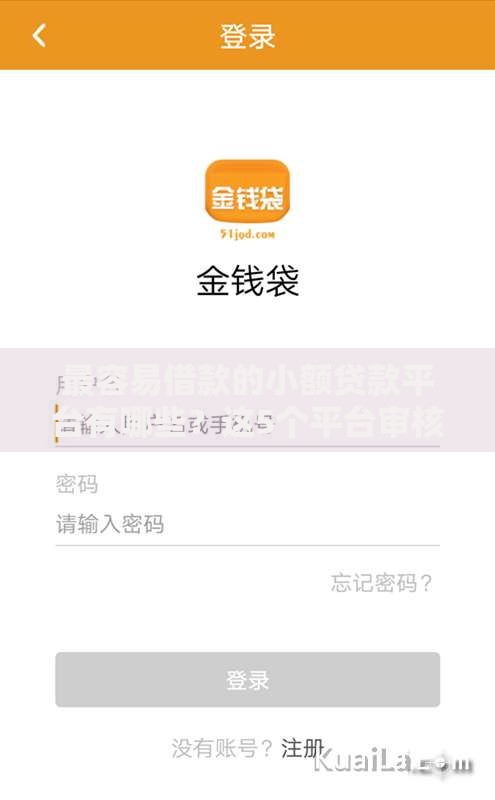 最容易借款的小额贷款平台有哪些？这5个平台审核快放款易